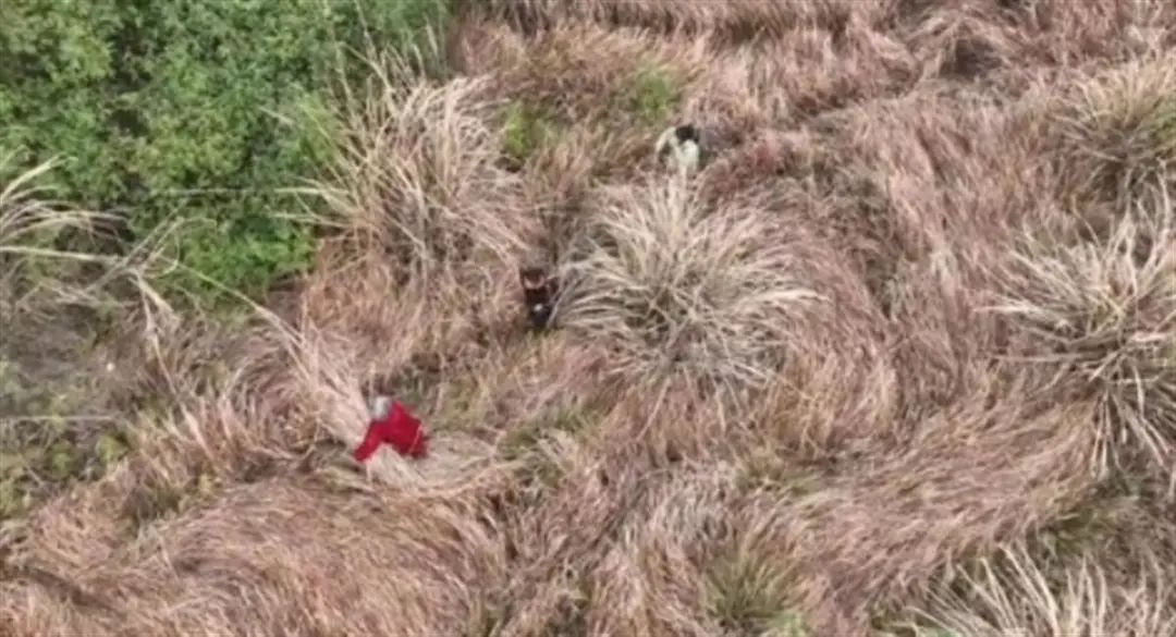 917092242397d4146a7c8ce0fa30a7e0.jpg 微信圖片_20230307144027.jpg