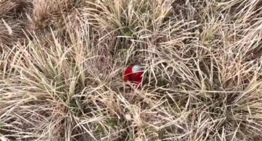 a78e5361db294b52d56edc08cf8d328c.jpg 640.jpg